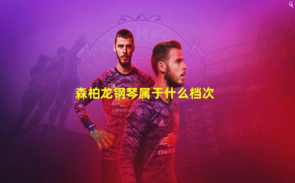 森柏龙钢琴属于什么档次