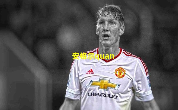 安格尔quan