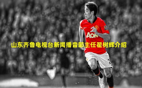 山东齐鲁电视台新闻播音部主任翟树辉介绍